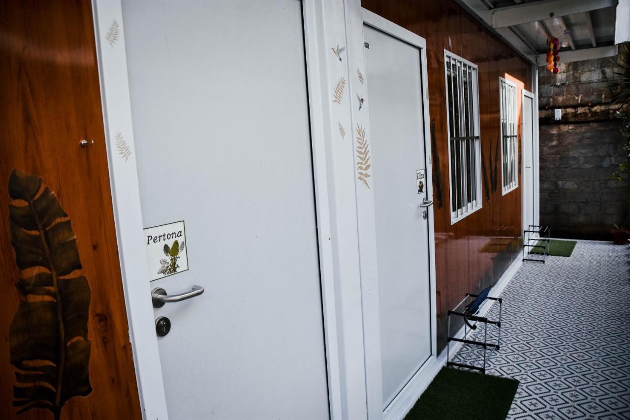 Olive Hostel Roxas Dış mekan fotoğraf
